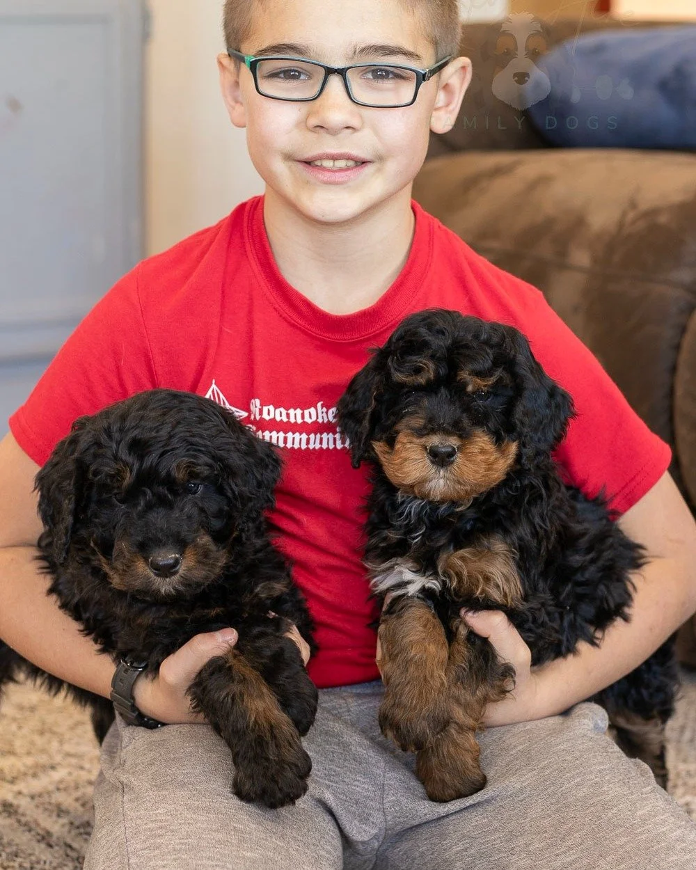 Price decrease on both these girls!

Cinderella and Aurora are 9 weeks old and amazing through and through! They both have gentle spirits and love everyone they meet. We just know they will bring so much joy to the families they end up moving in with