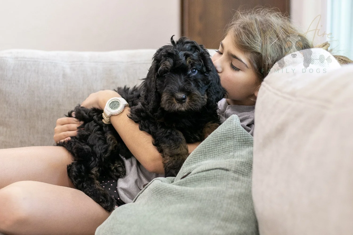 Acadia Bernedoodle Puppy-491.jpg