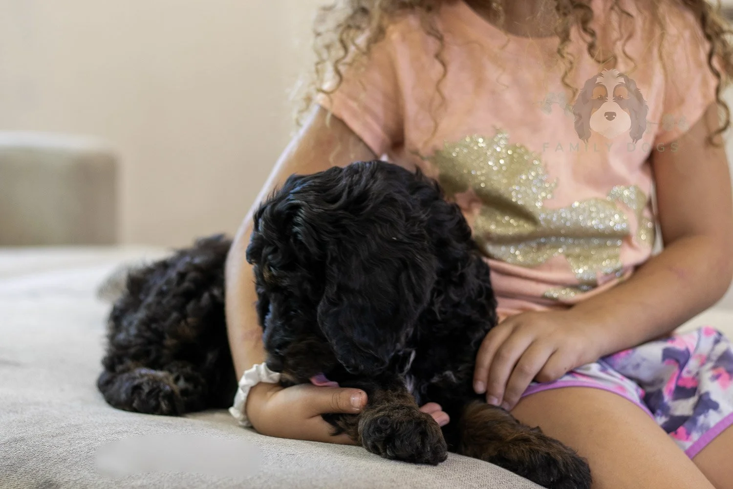 Denali Bernedoodle Puppy-546.jpg
