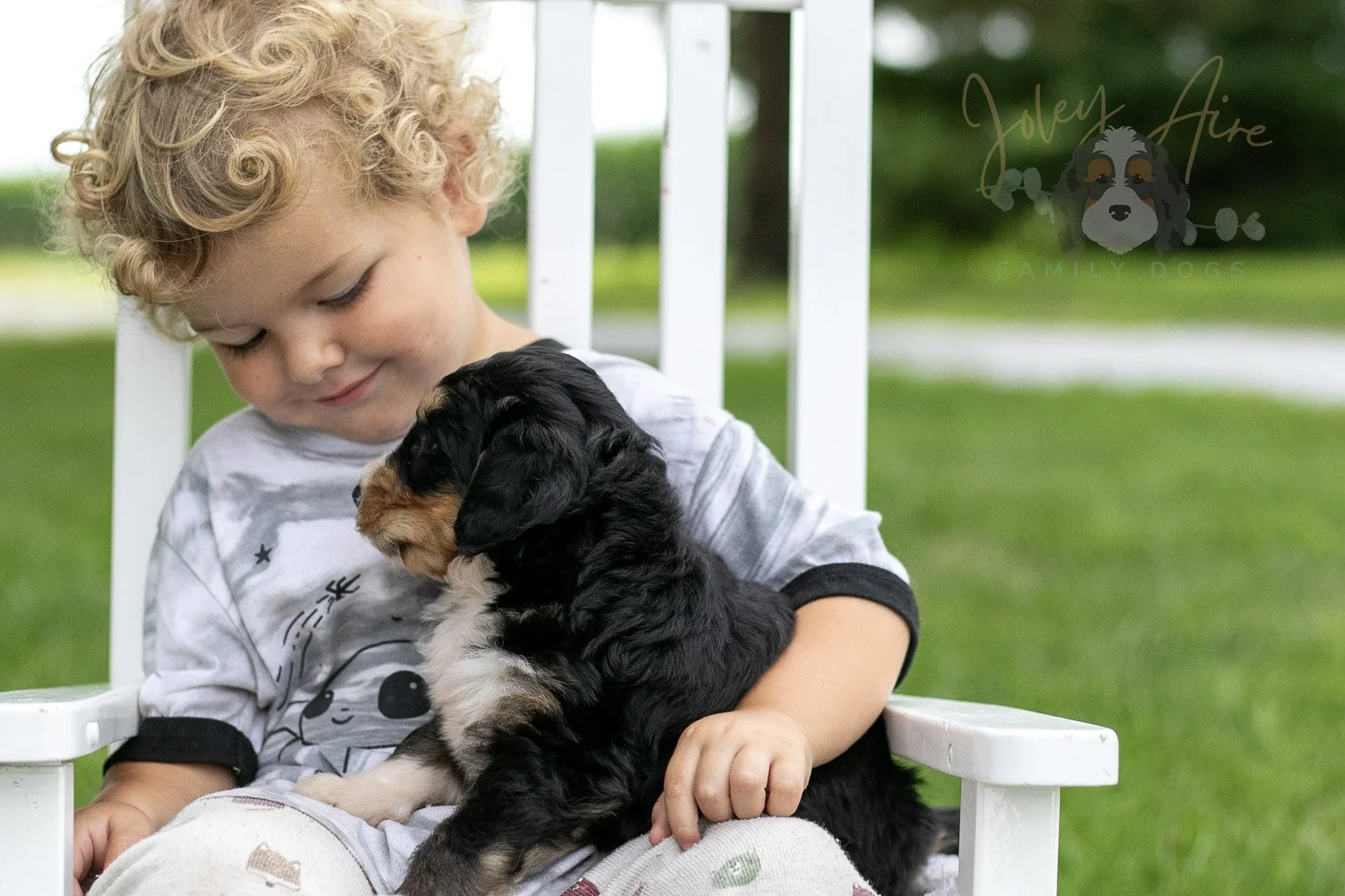 Walter Shirley Bernedoodle Puppy-887.jpg
