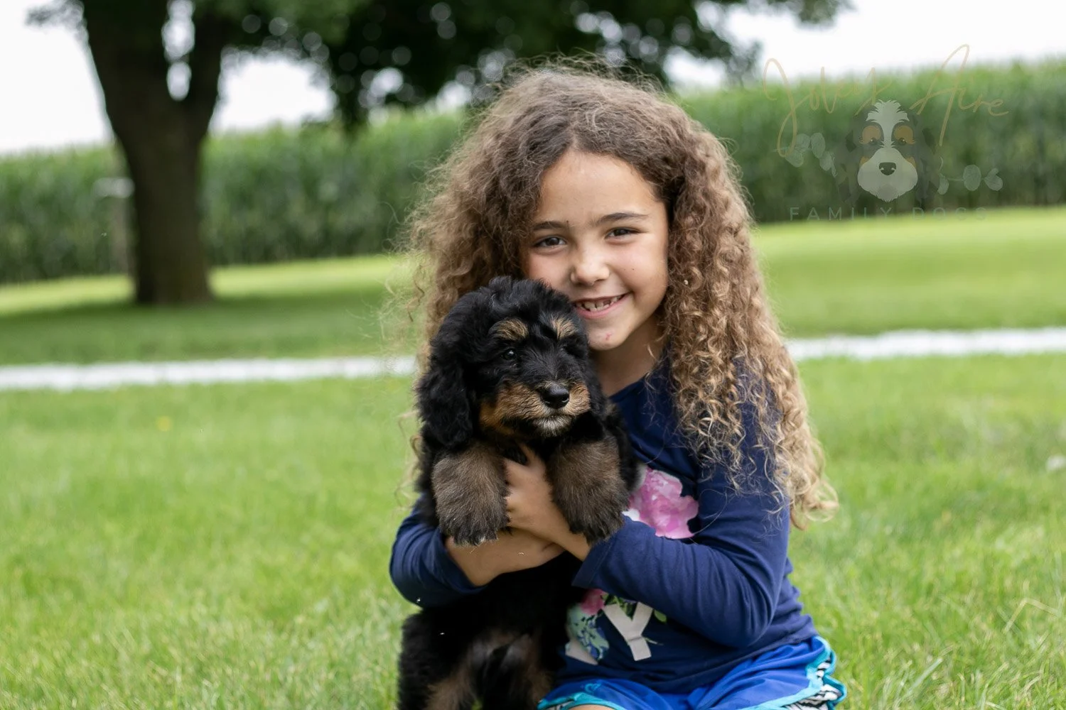 Gilbert Bernedoodle Puppy-48.jpg