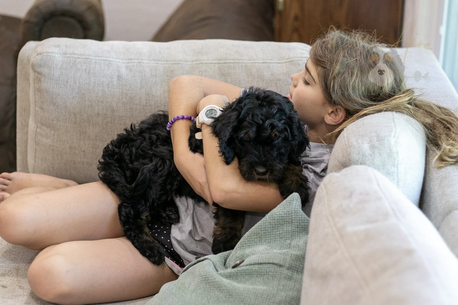 Acadia Bernedoodle Puppy-488.jpg
