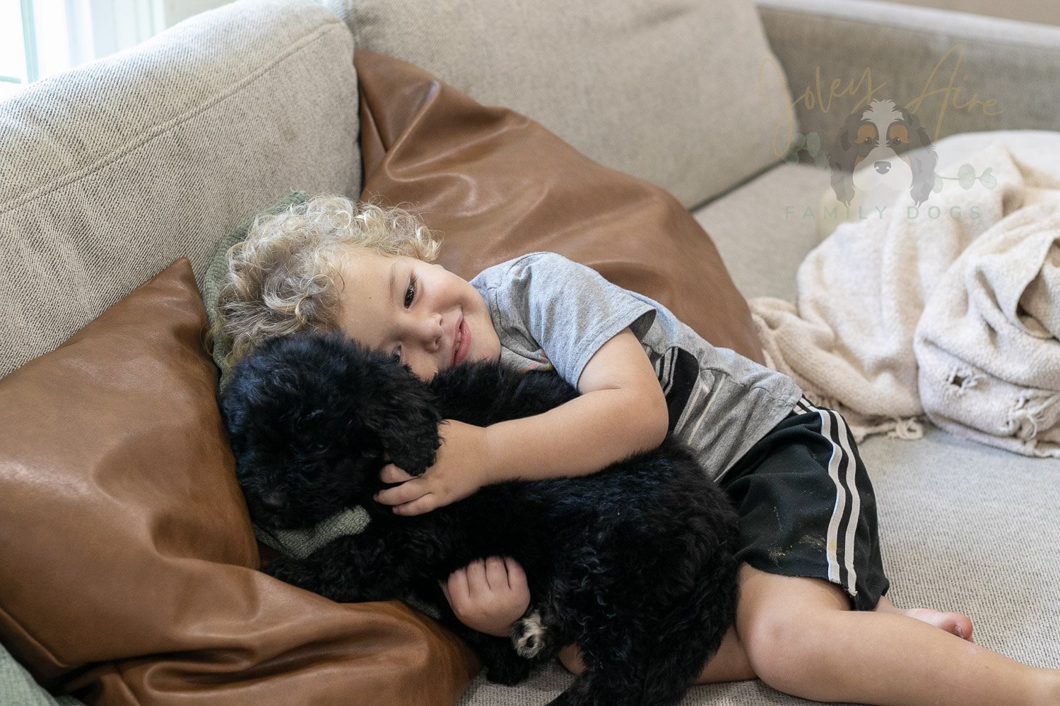 Claude Bernedoodle Puppy-234.jpg