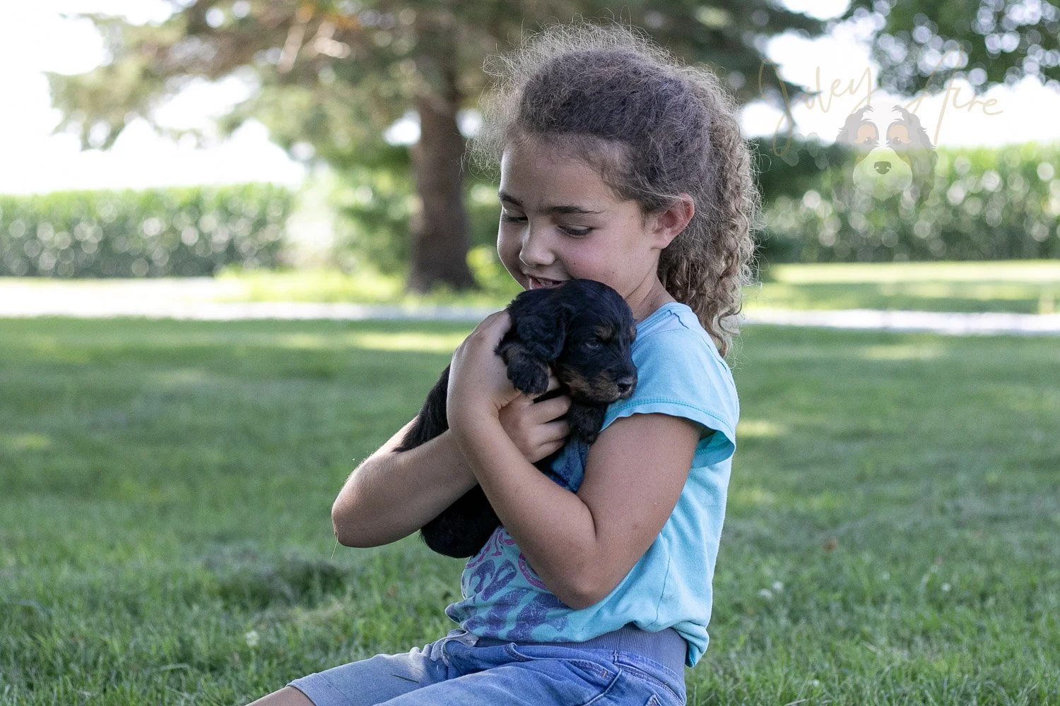 Zion Bernedoodle Puppy-346.jpg