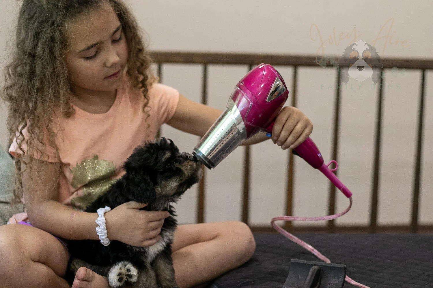 Georgia Bernedoodle Puppy-436.jpg