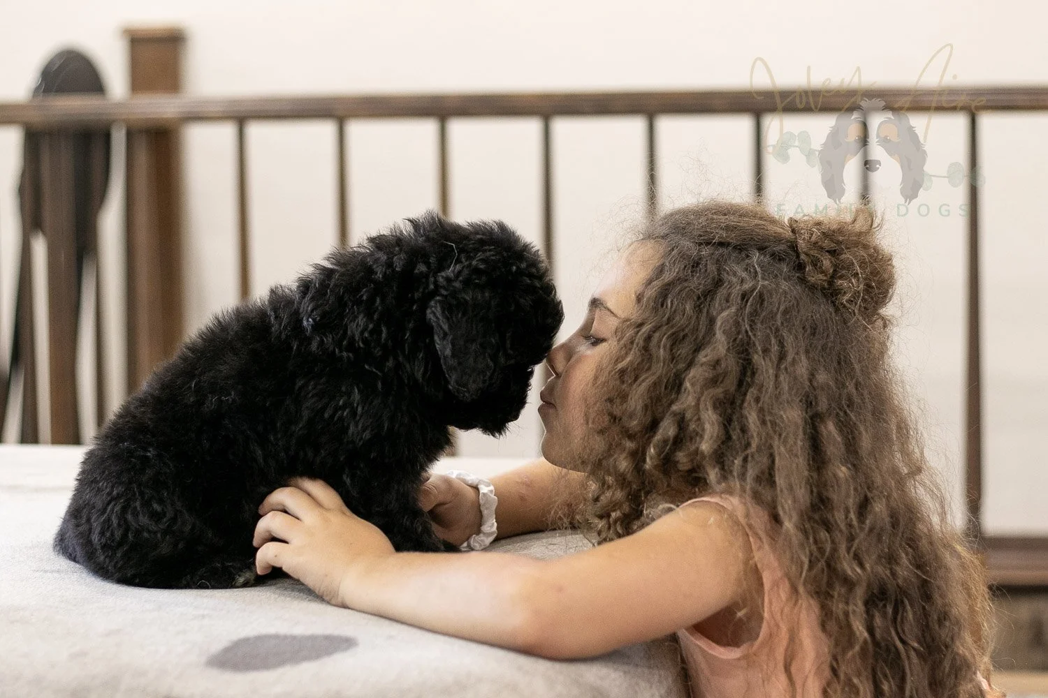 Claude Bernedoodle Puppy-254.jpg
