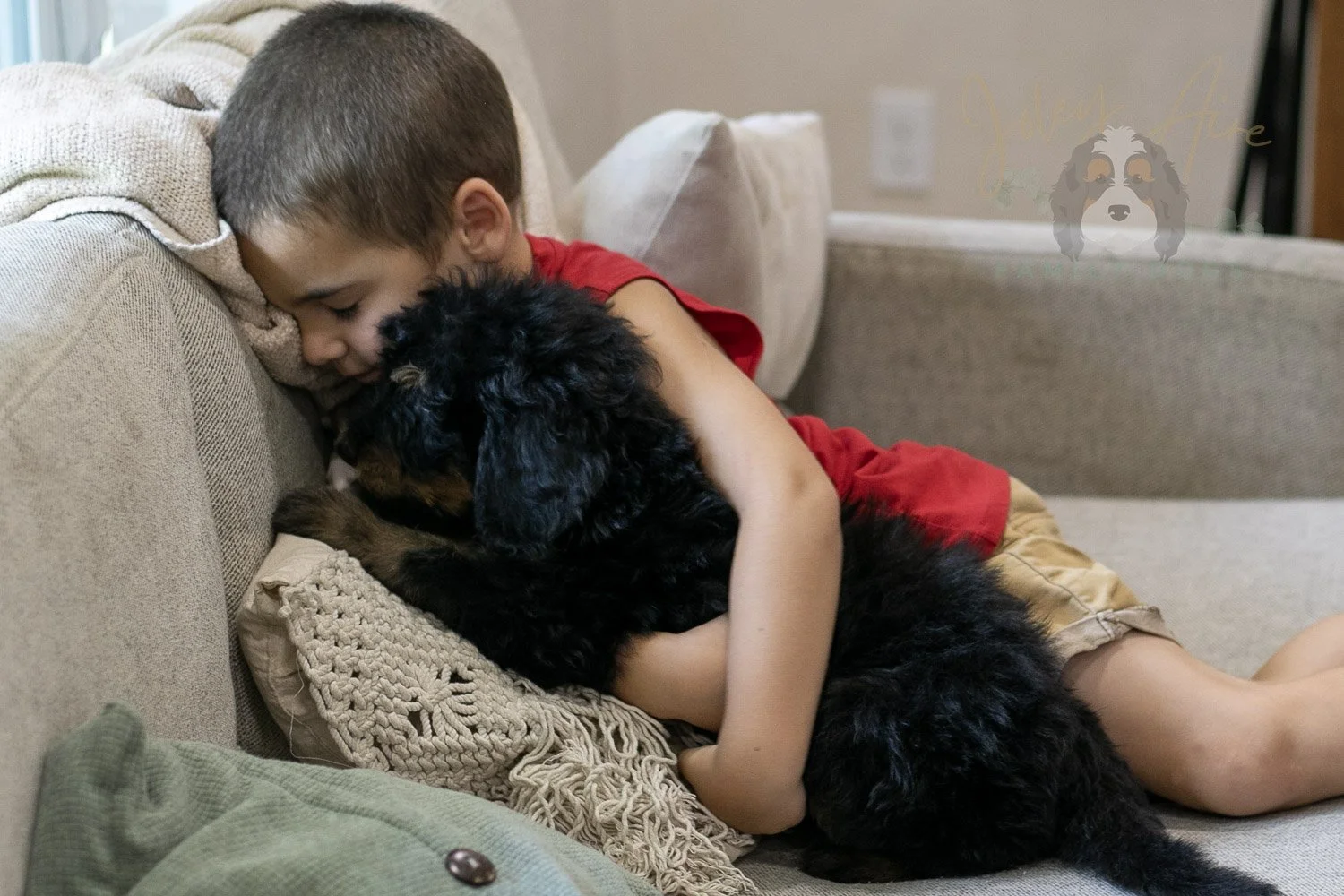 Gilbert Bernedoodle Puppy-338.jpg