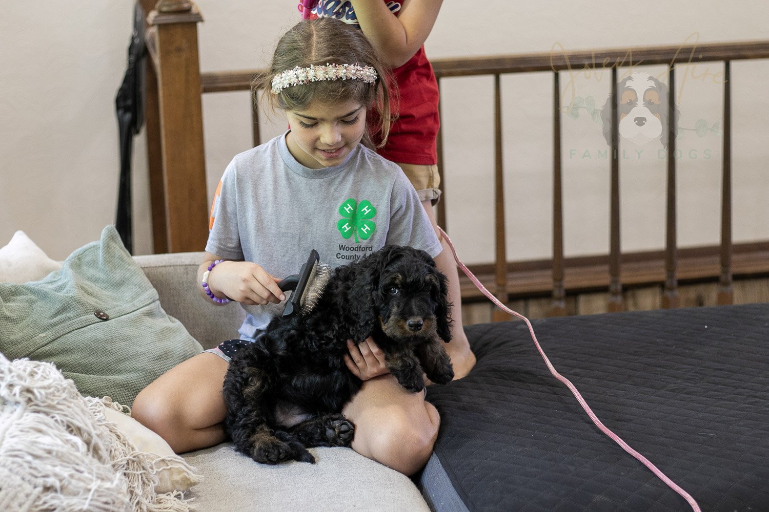 Bryce Bernedoodle Puppy-401.jpg