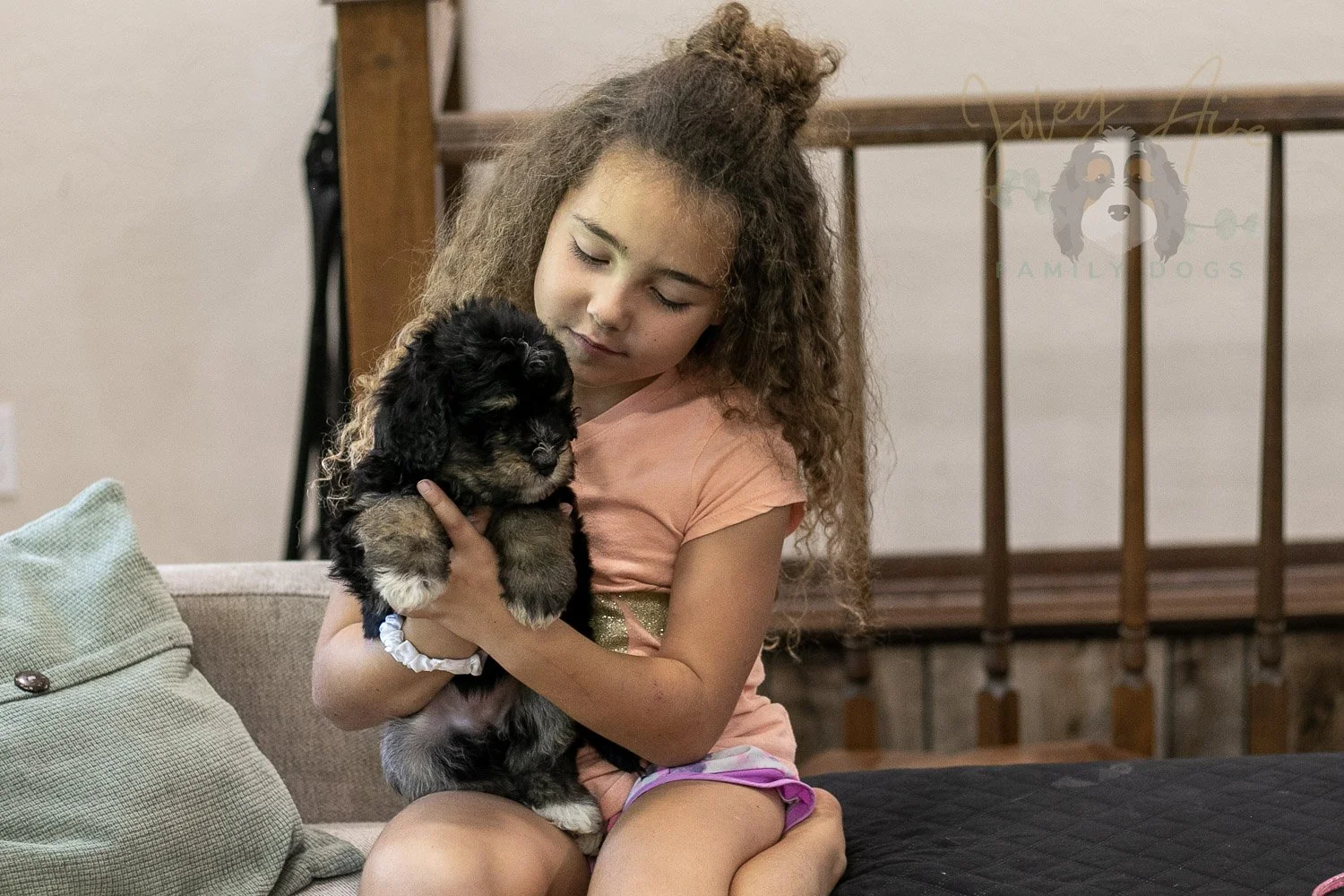 Georgia Bernedoodle Puppy-425.jpg