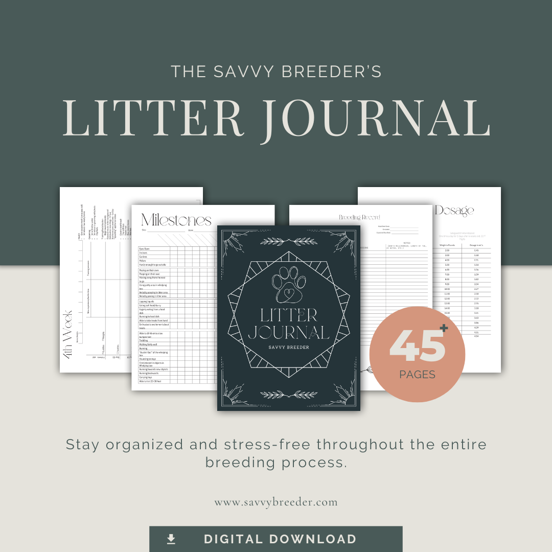 Square eBook Mockup digital download.png