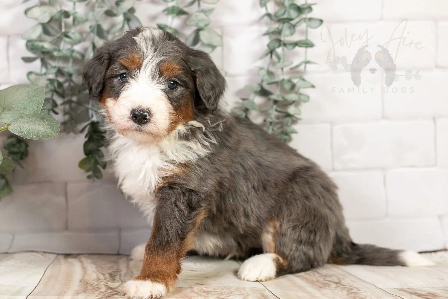 Nordic 🔴 Reserved