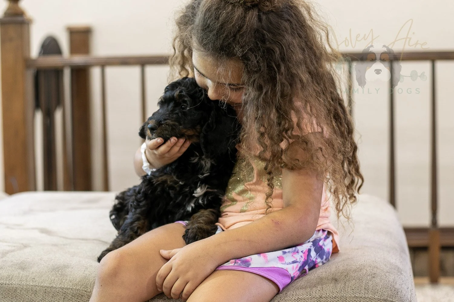 Denali Bernedoodle Puppy-540.jpg