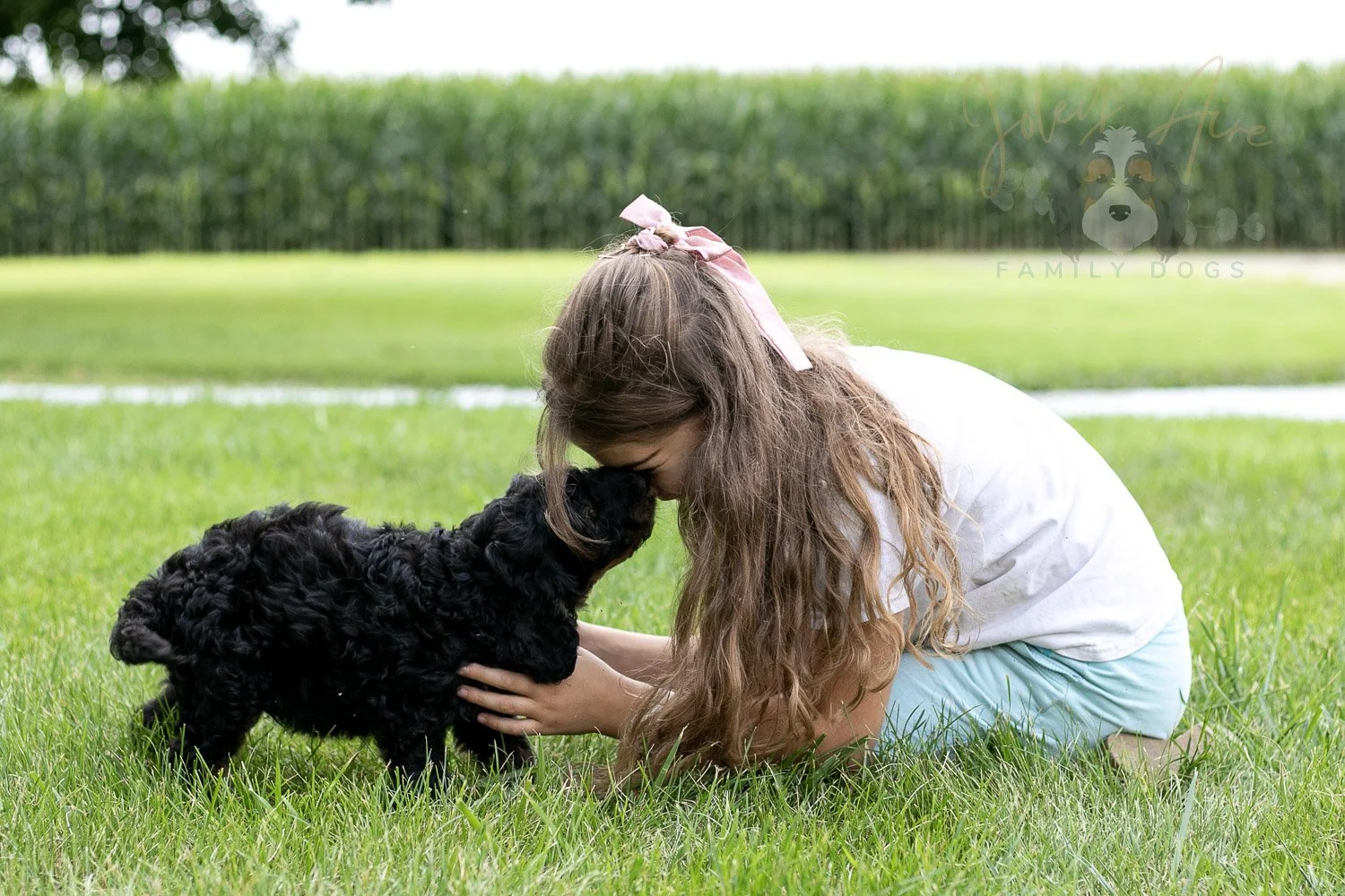 Bryce Bernedoodle Puppy-73.jpg