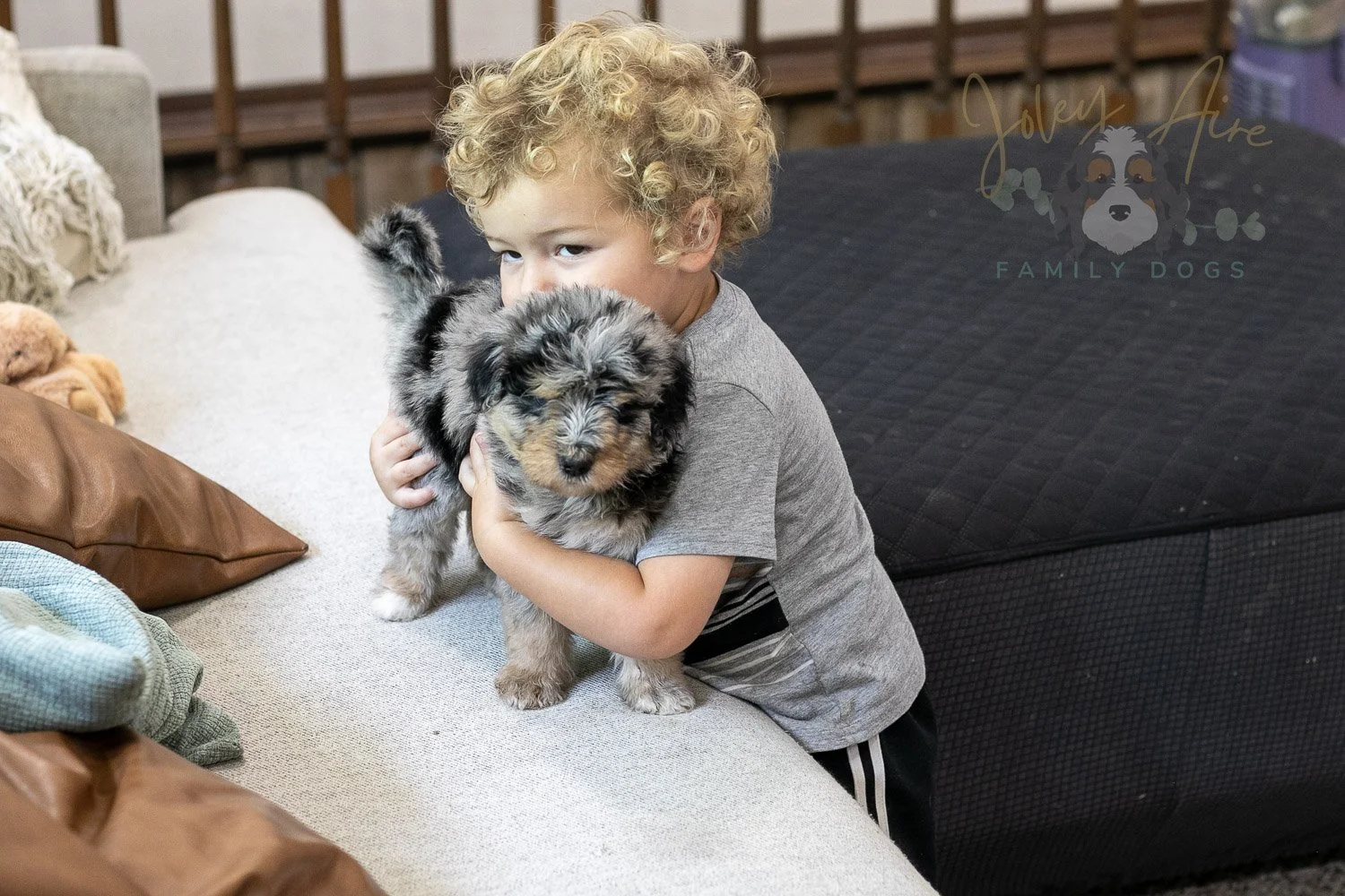 Mary Bernedoodle Puppy-307.jpg