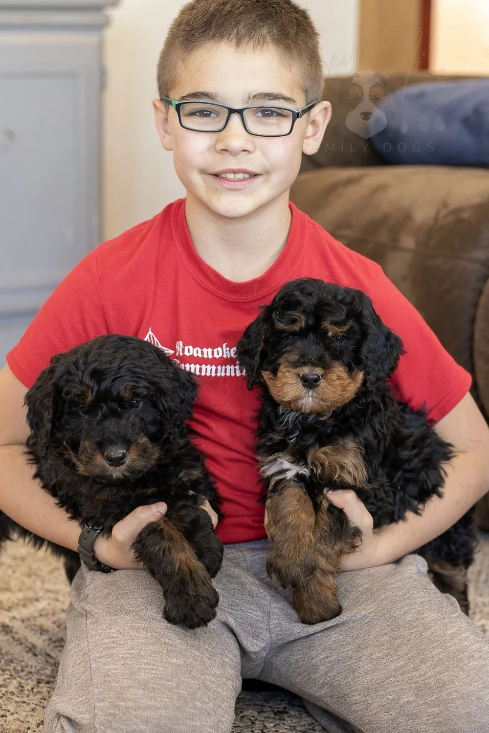 Aurora & Cinderella Bernedoodle Puppy-02.jpg