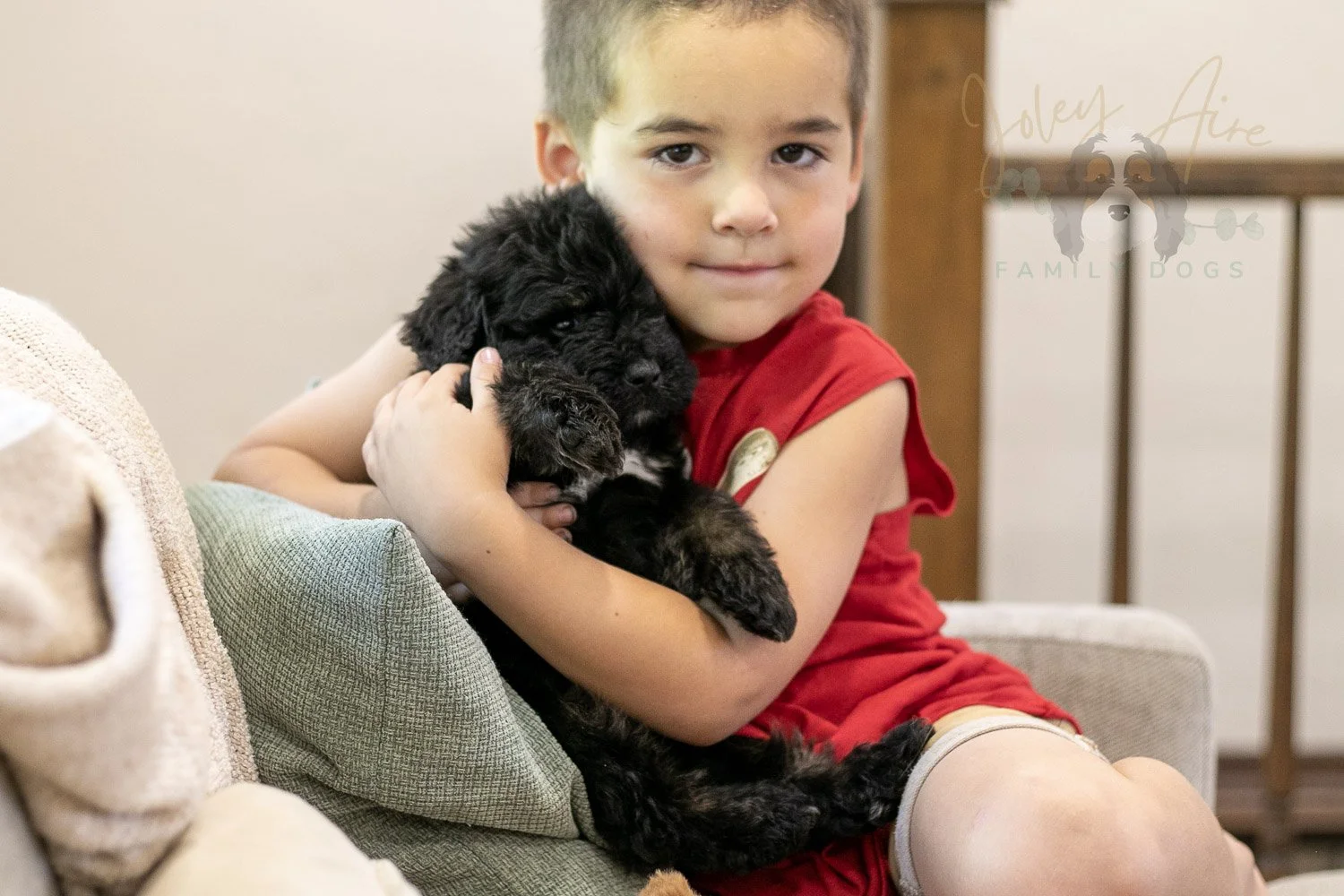 Andy Bernedoodle Puppy-279.jpg