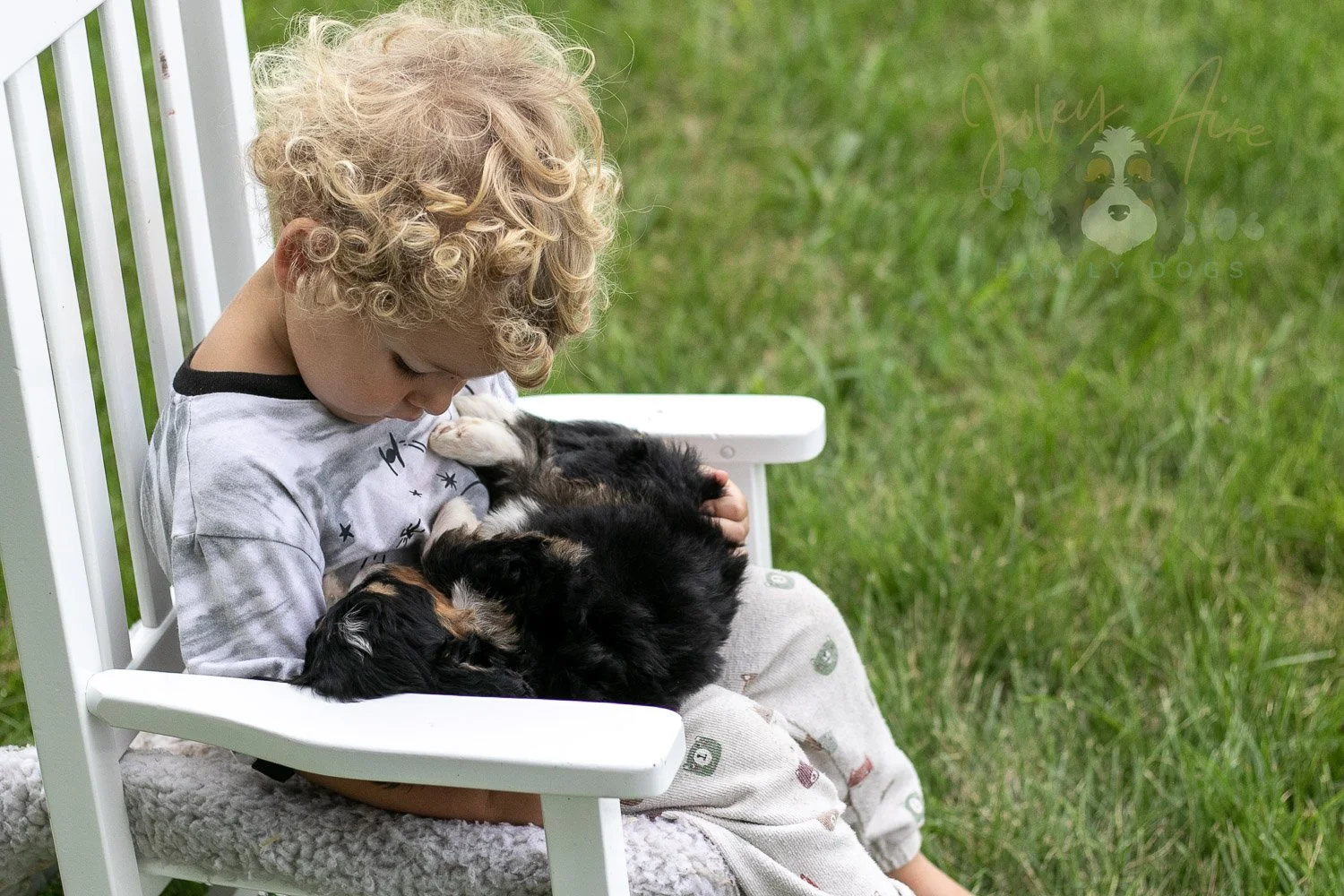 Walter Shirley Bernedoodle Puppy-890.jpg