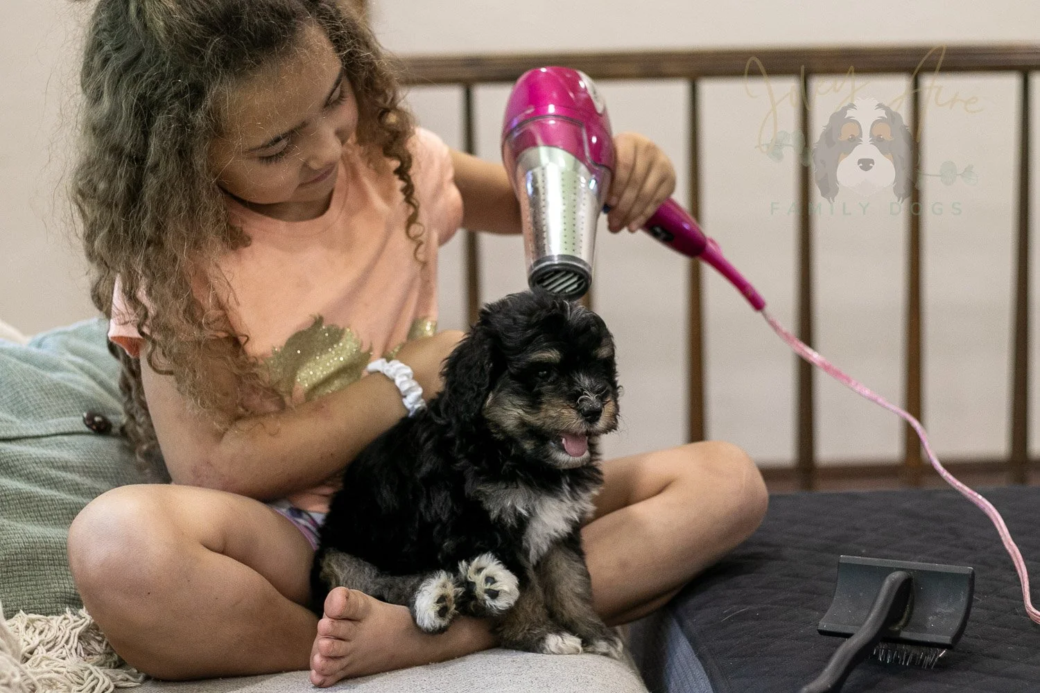 Georgia Bernedoodle Puppy-434.jpg
