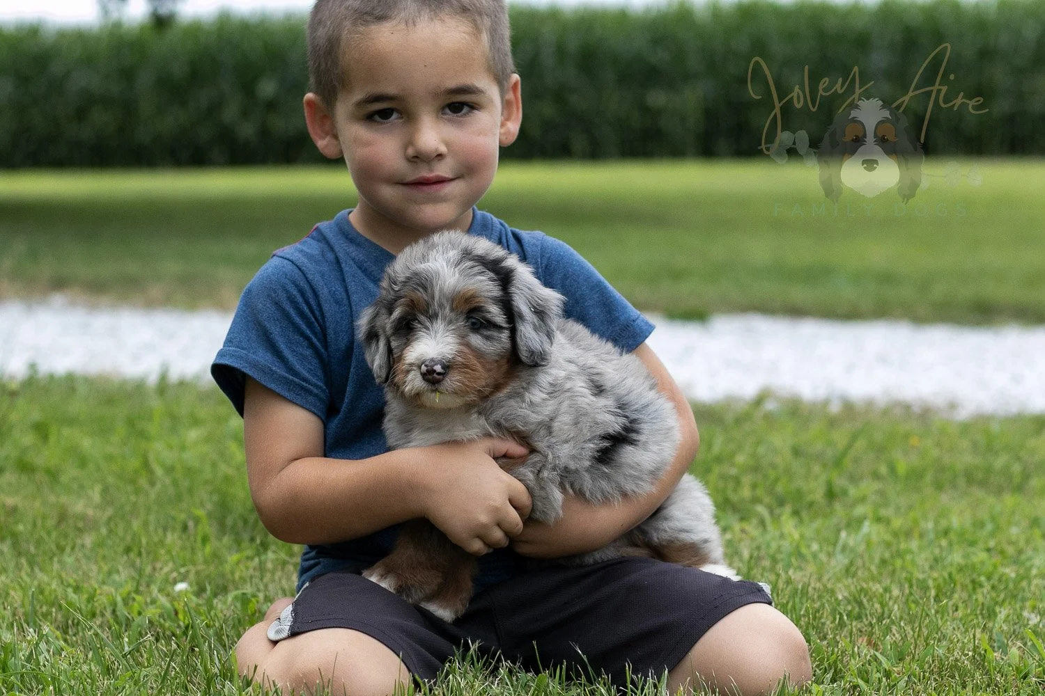 Rachel Lynde Bernedoodle Puppy-4.jpg