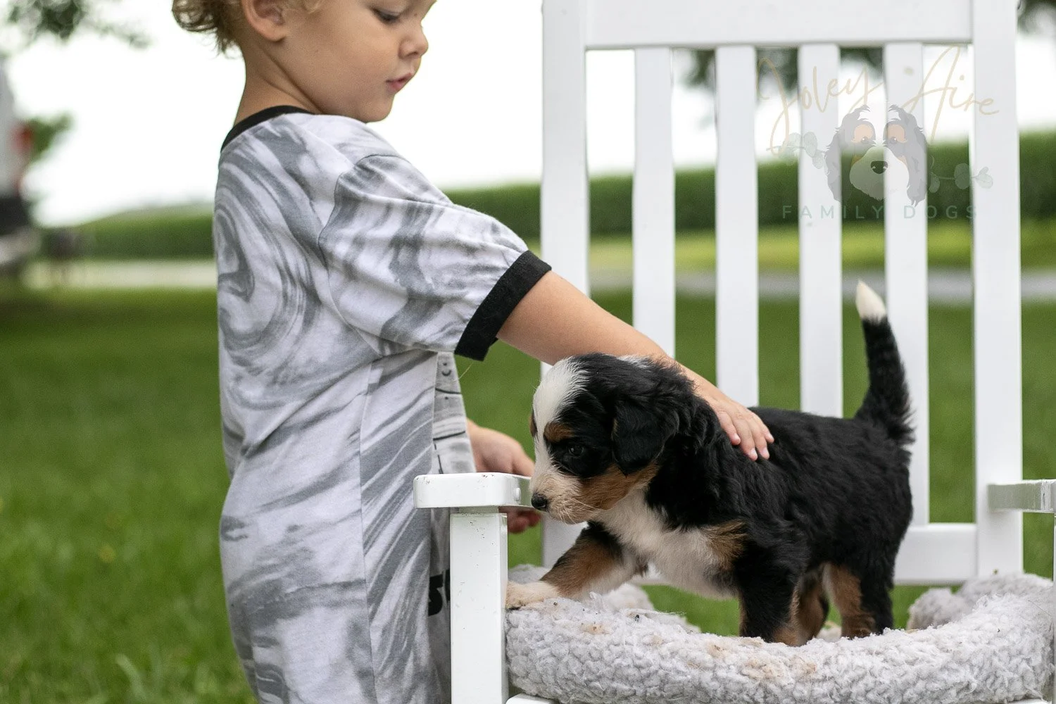 Anne Shirley Bernedoodle Puppy-990.jpg