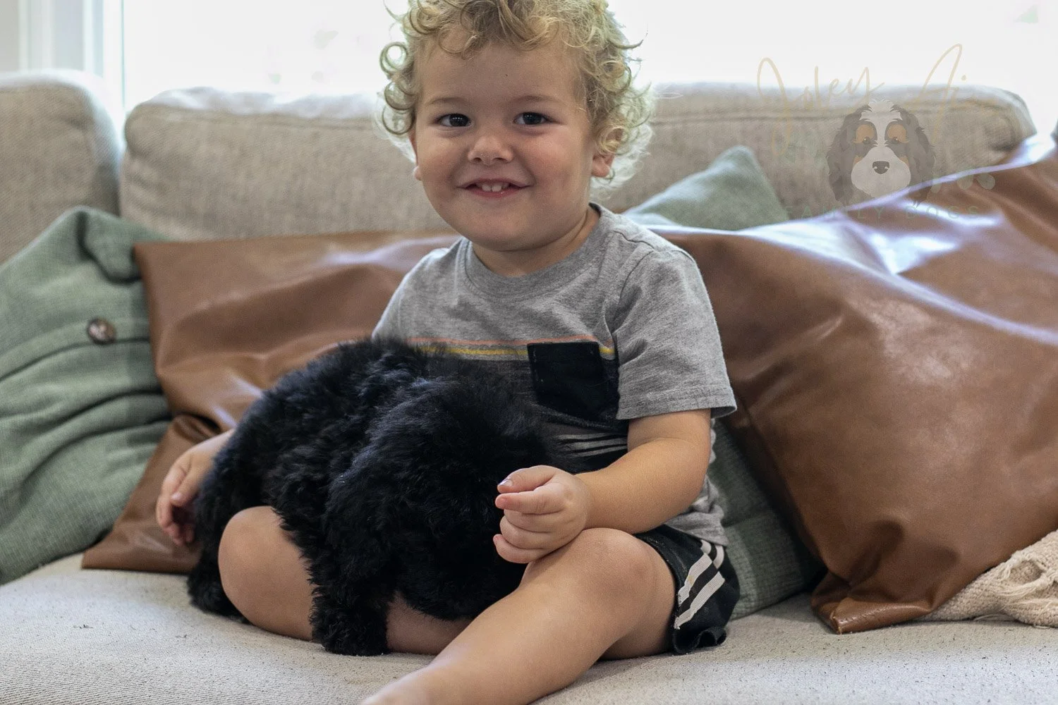 Claude Bernedoodle Puppy-231.jpg