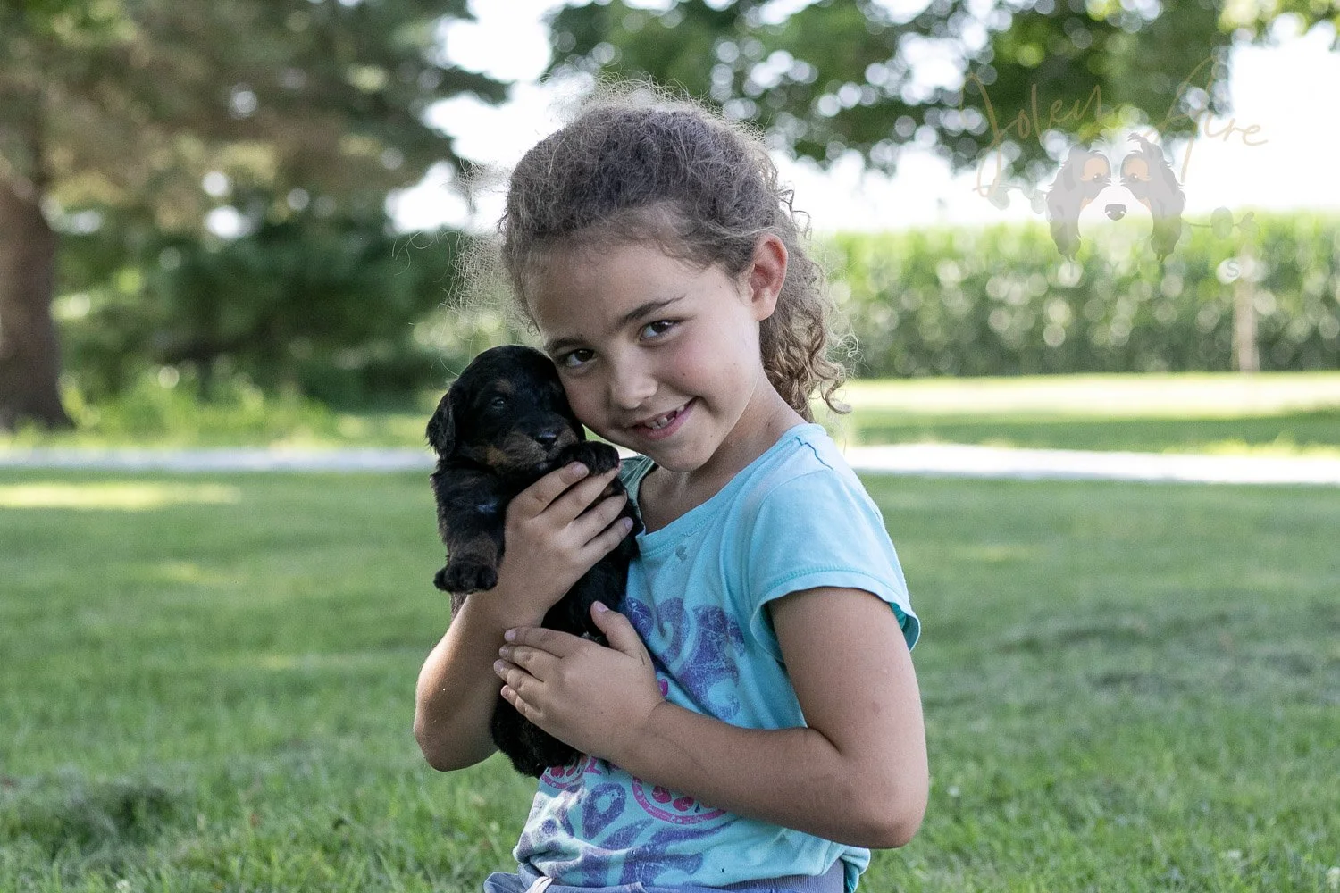 Zion Bernedoodle Puppy-340.jpg