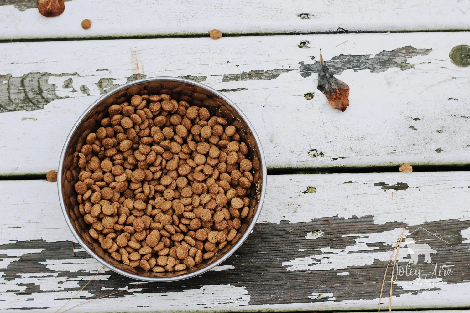 Puppy Feeding guide from 8 Weeks to 1 Year — Joley Aire