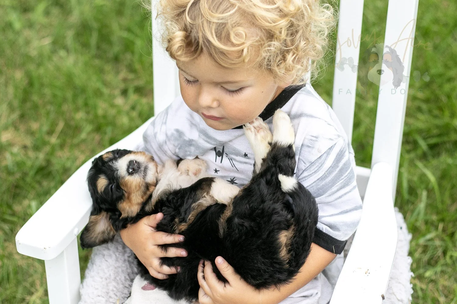 Walter Shirley Bernedoodle Puppy-888.jpg