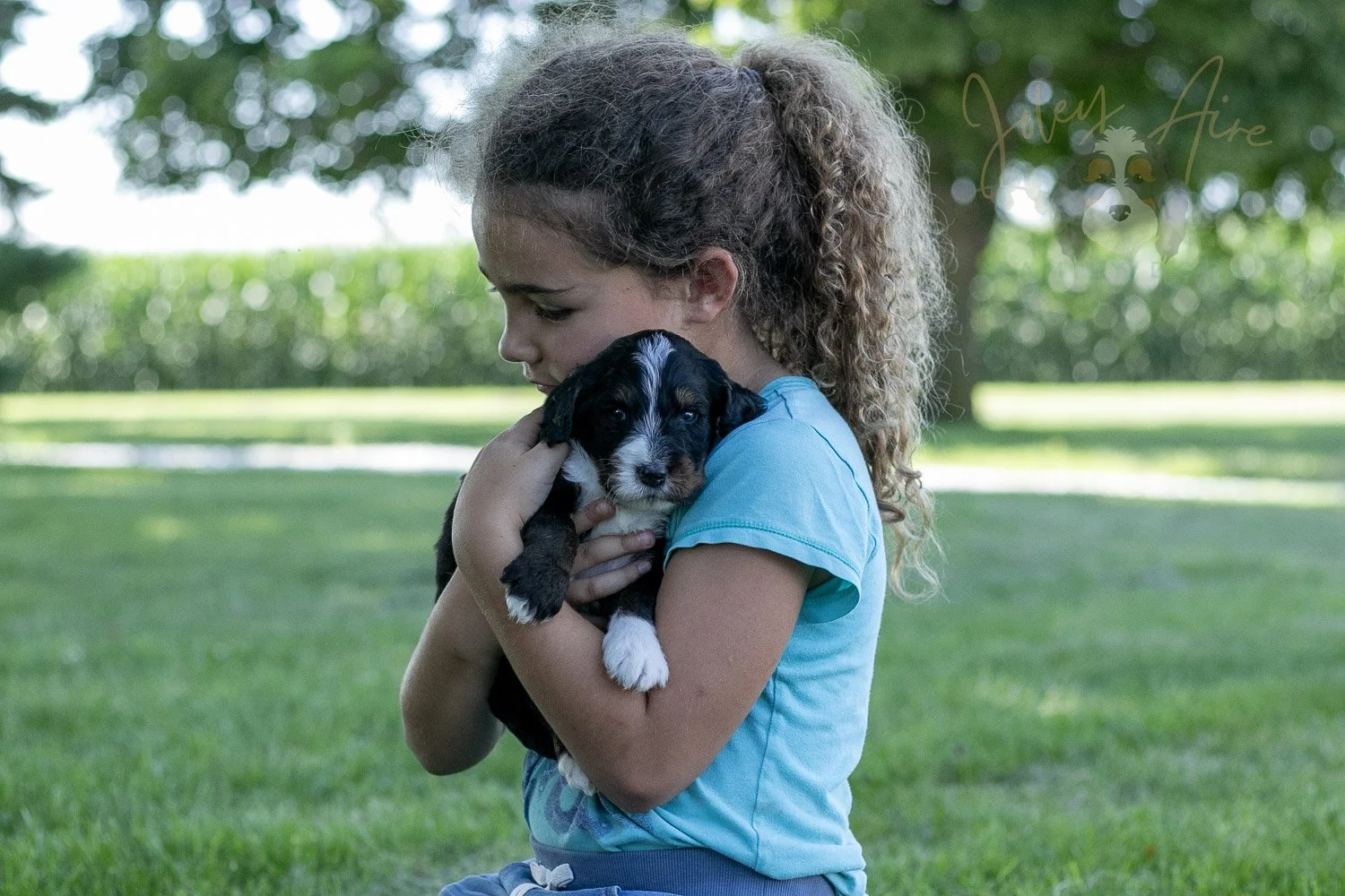 Yosemite Bernedoodle Puppy-371.jpg