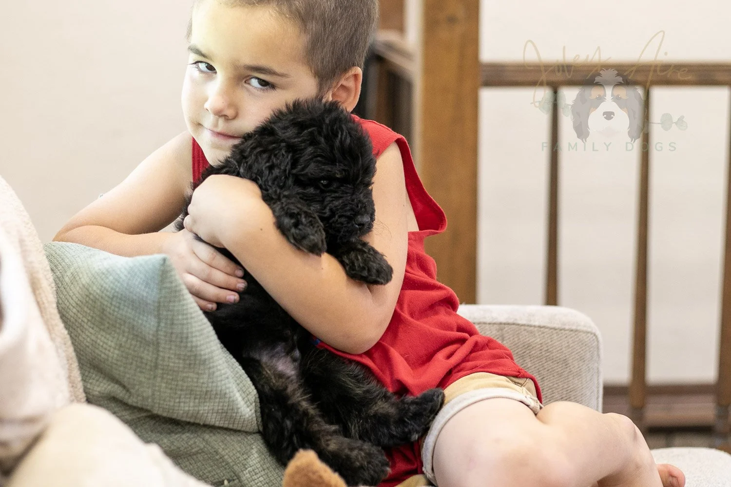 Andy Bernedoodle Puppy-280.jpg
