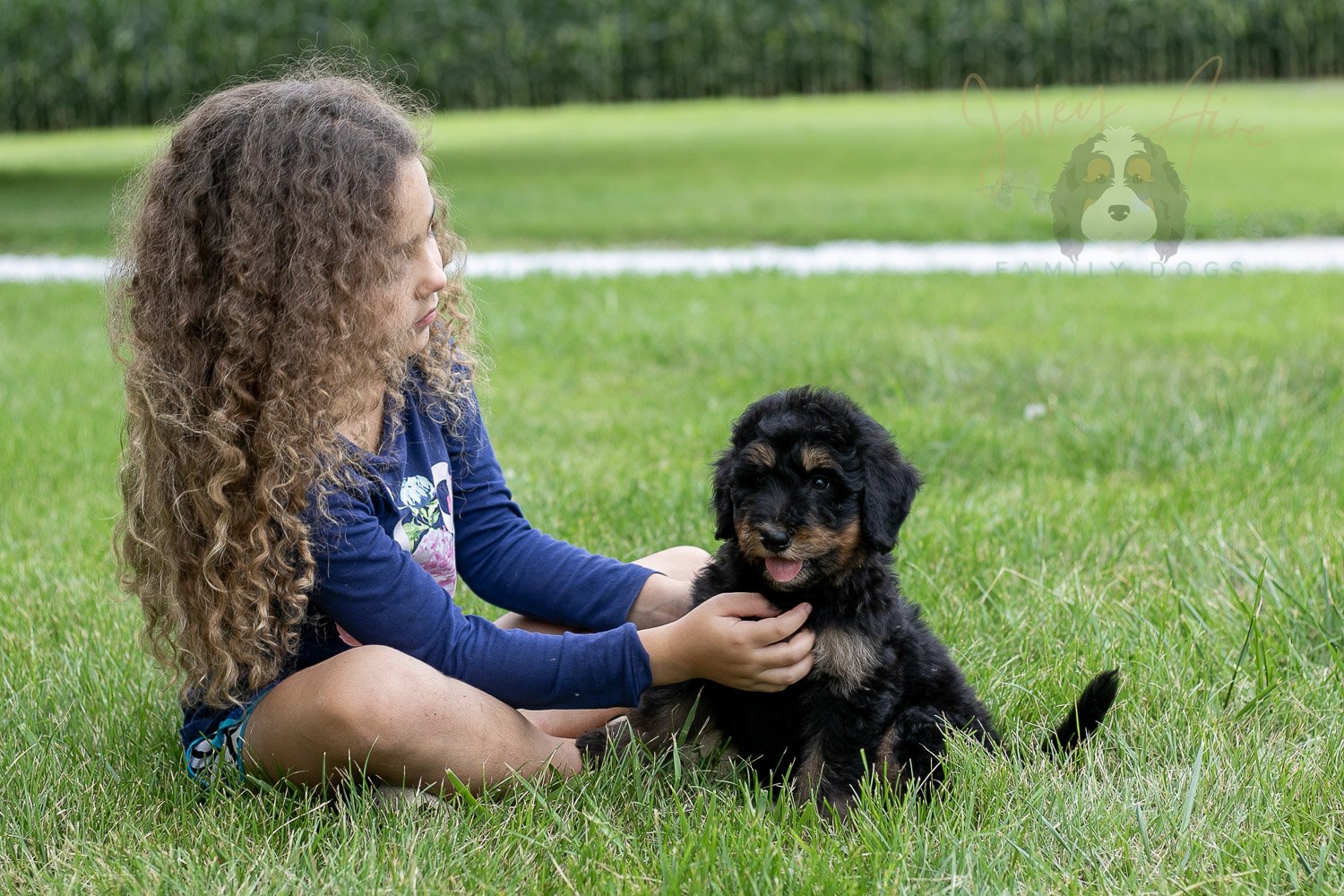 Gilbert Bernedoodle Puppy-54.jpg