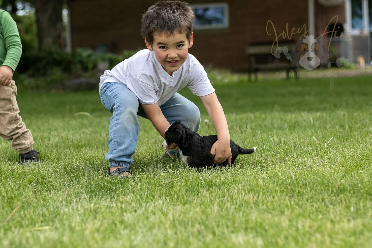 Harmonica Bernedoodle Puppy-42.jpg