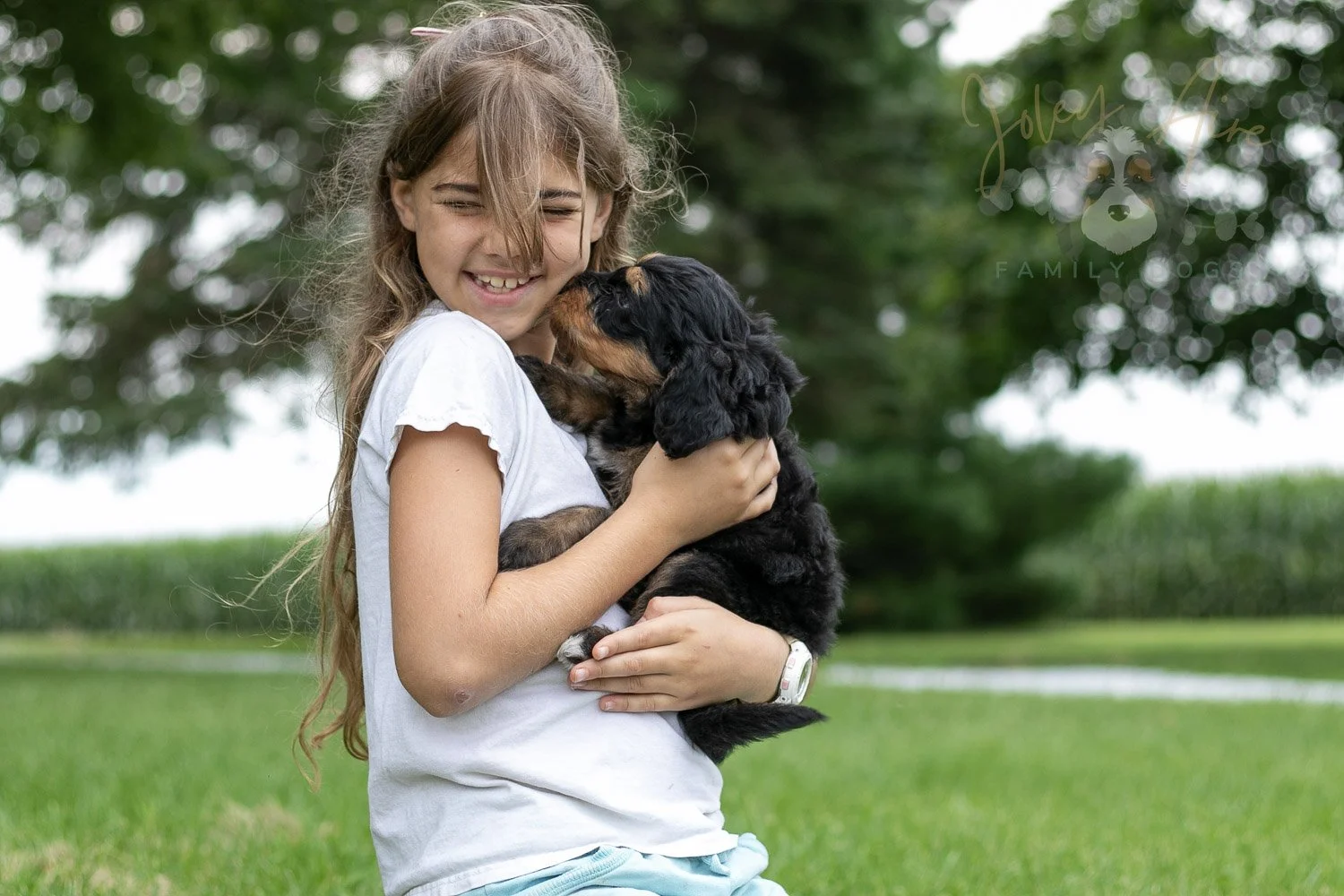 Mini Mae Bernedoodle Puppy-16.jpg