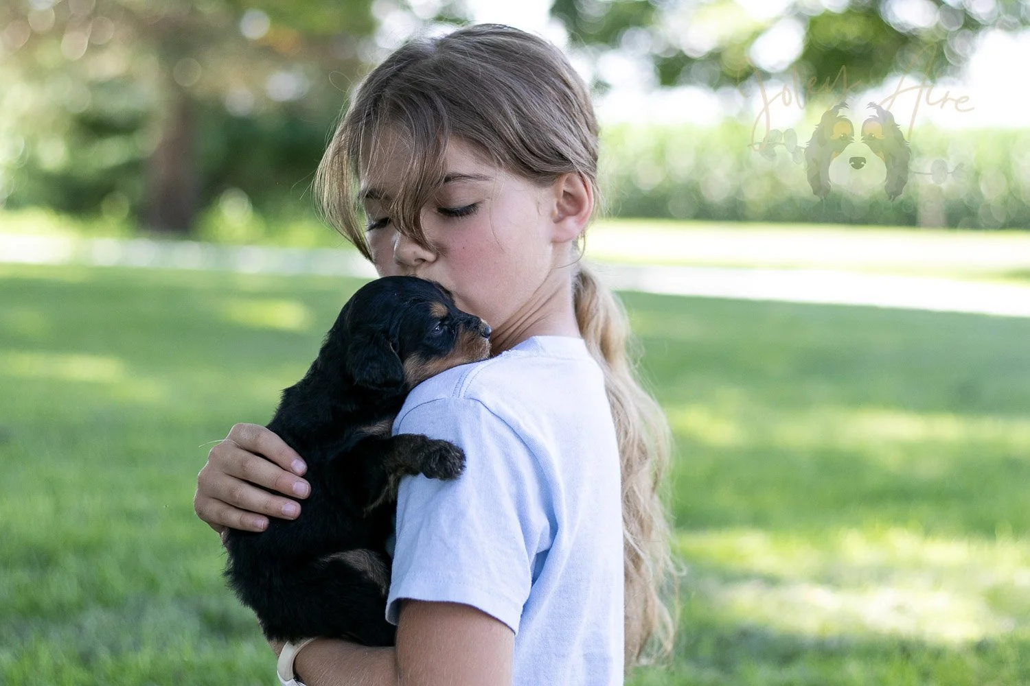 Mini Mae Bernedoodle Puppy-491.jpg