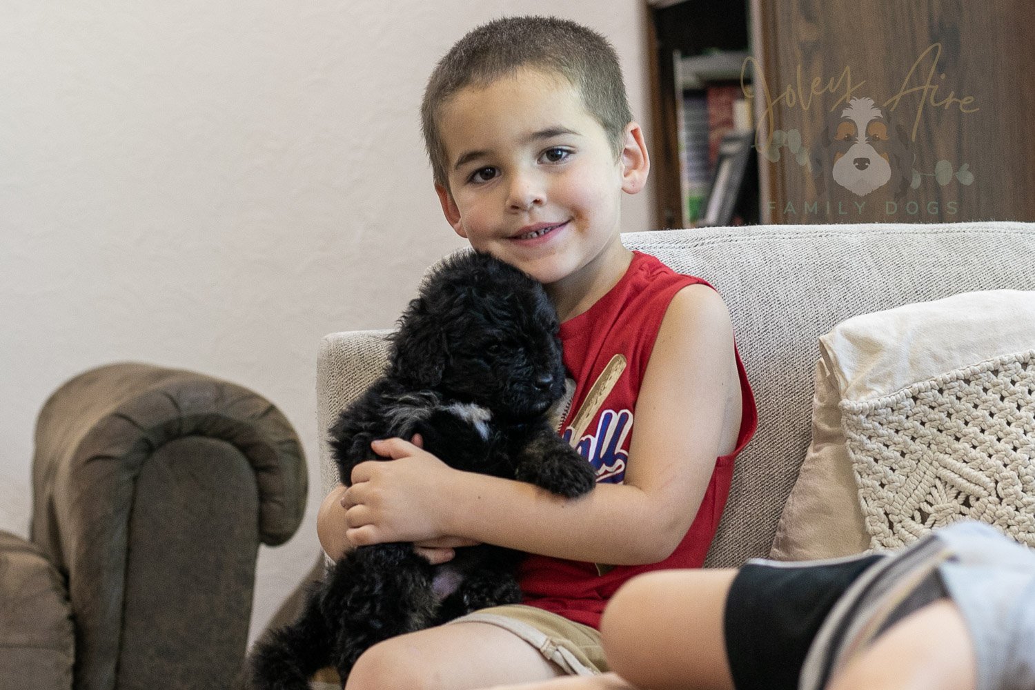 Andy Bernedoodle Puppy-266.jpg