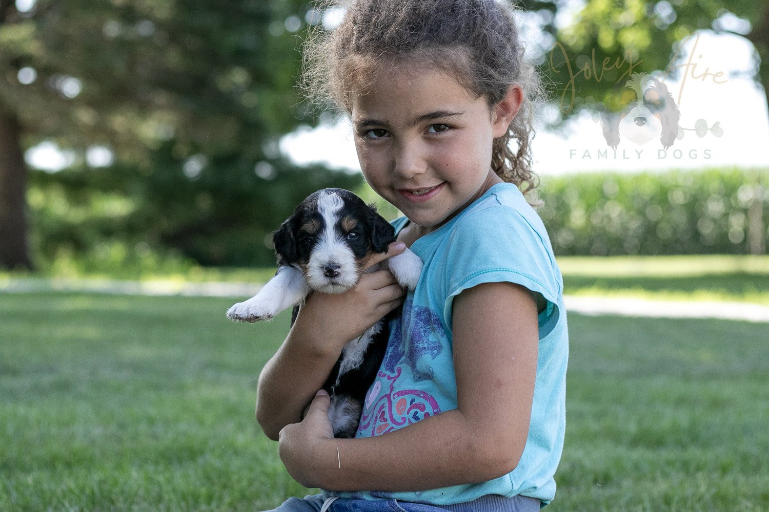 Zion Bernedoodle Puppy-331.jpg