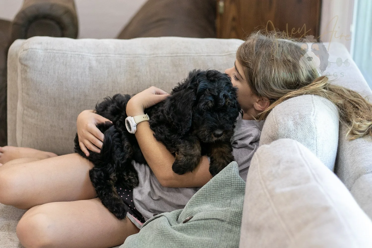 Acadia Bernedoodle Puppy-489.jpg