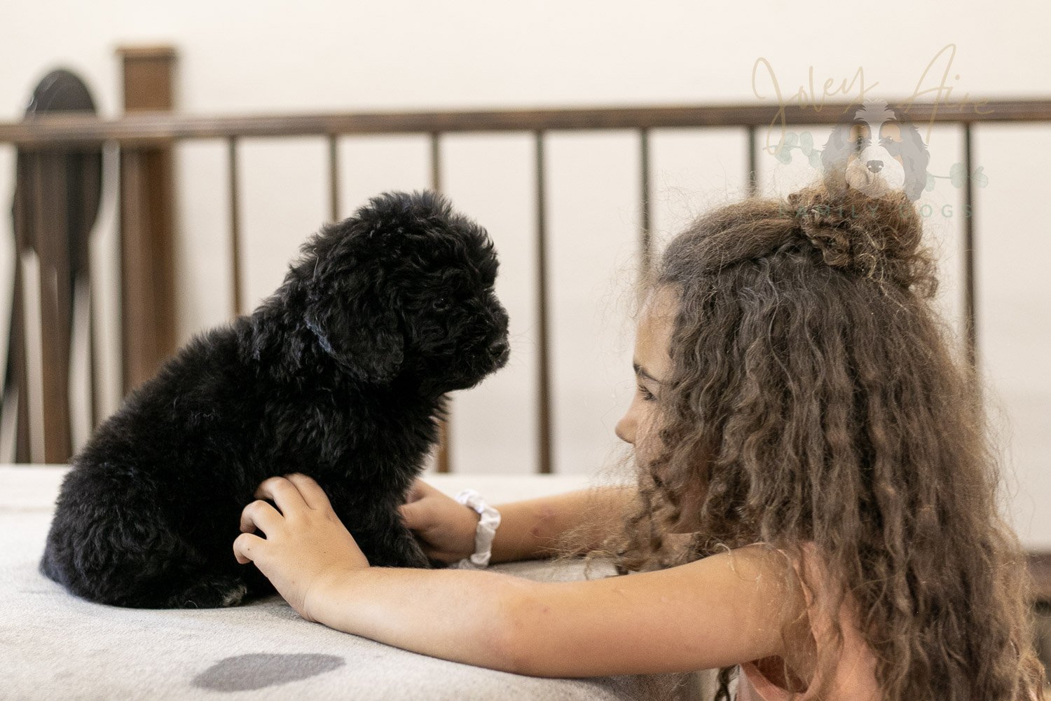 Claude Bernedoodle Puppy-253.jpg