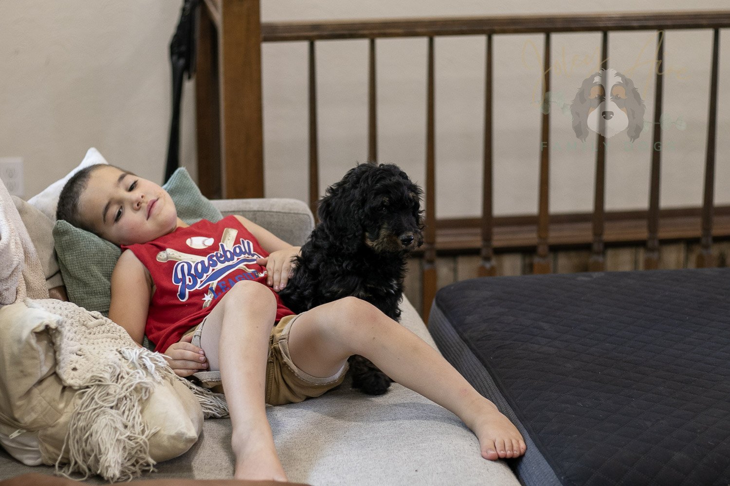 Bryce Bernedoodle Puppy-396.jpg