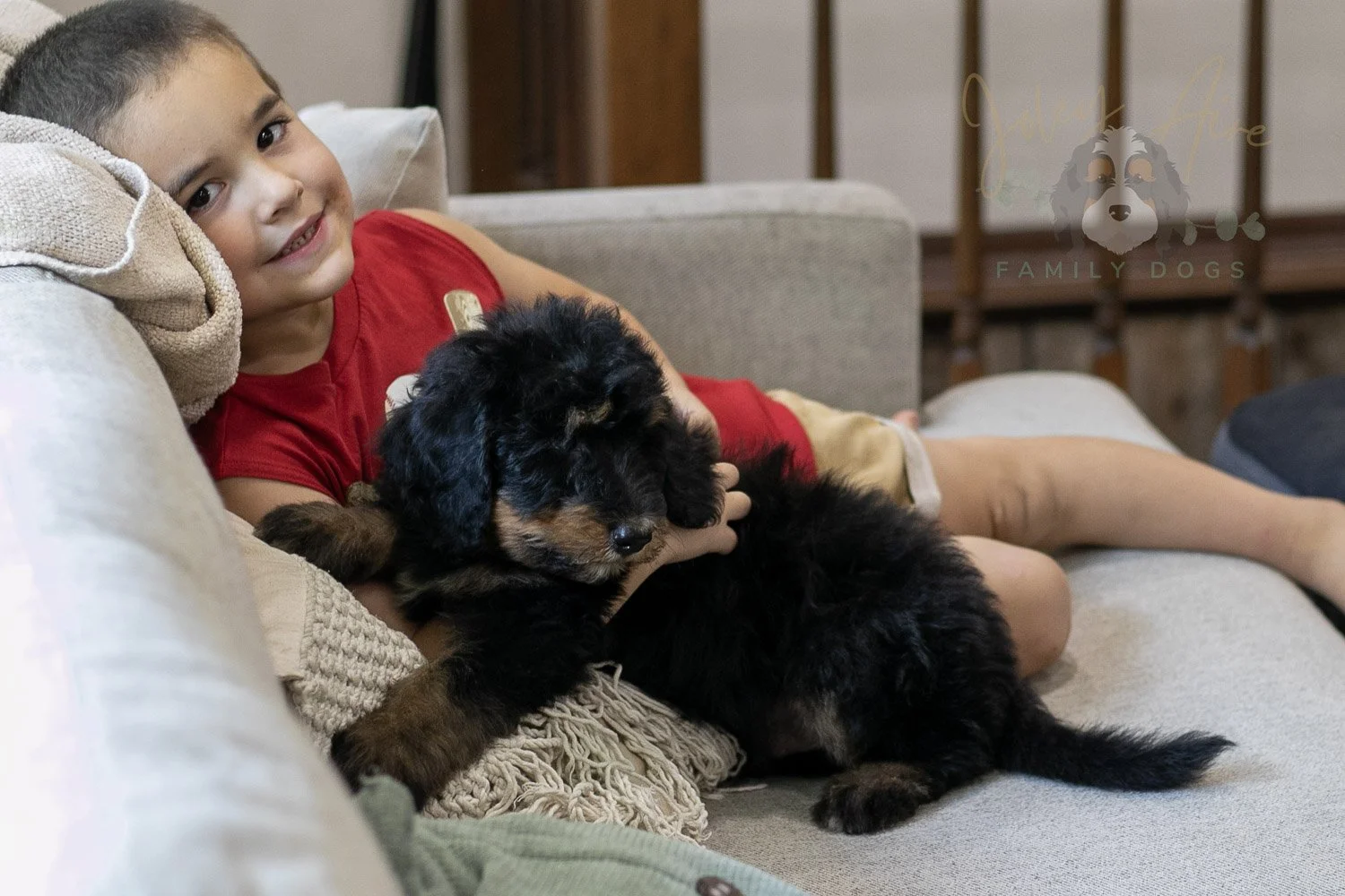 Gilbert Bernedoodle Puppy-339.jpg