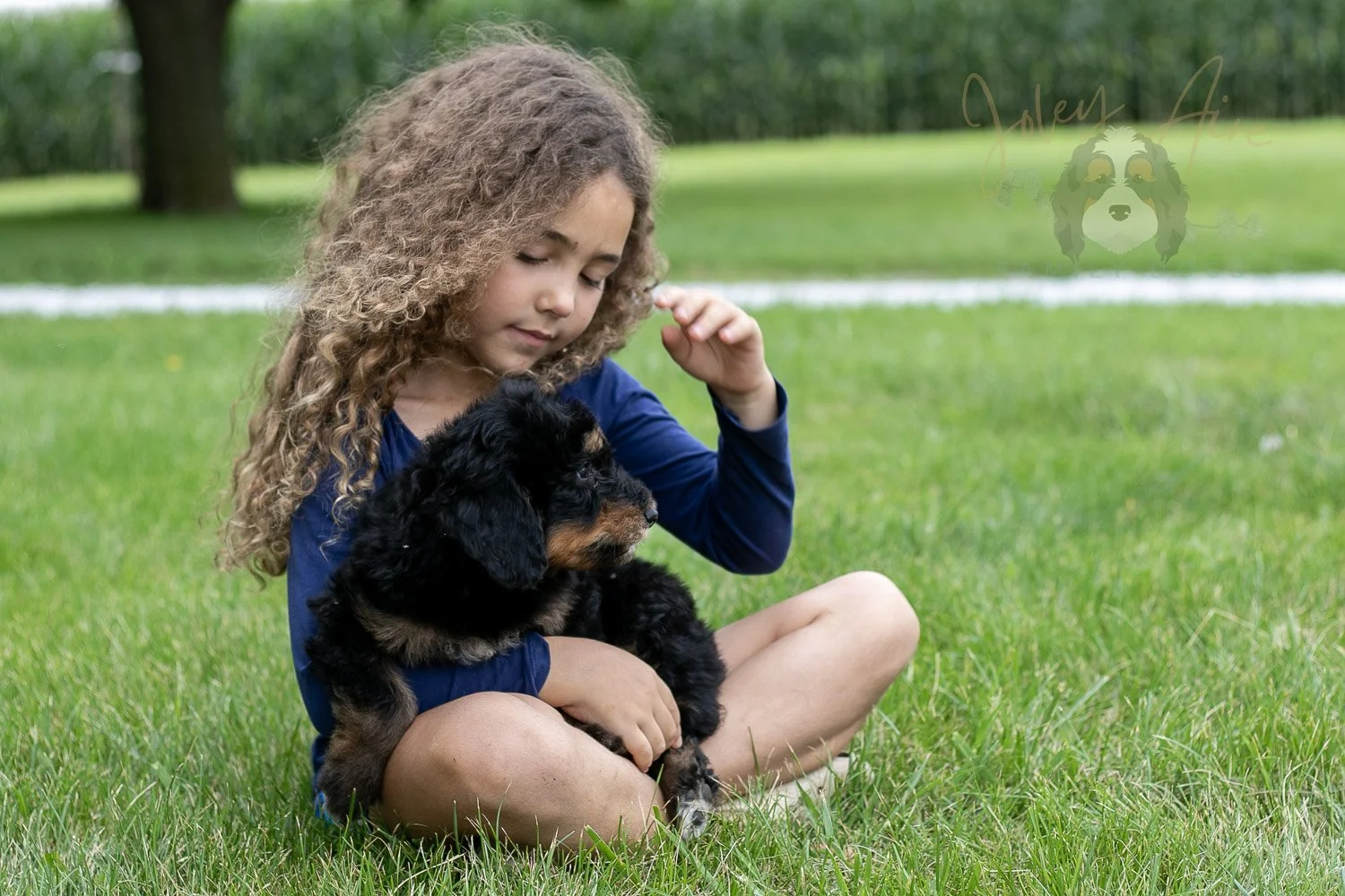 Gilbert Bernedoodle Puppy-51.jpg