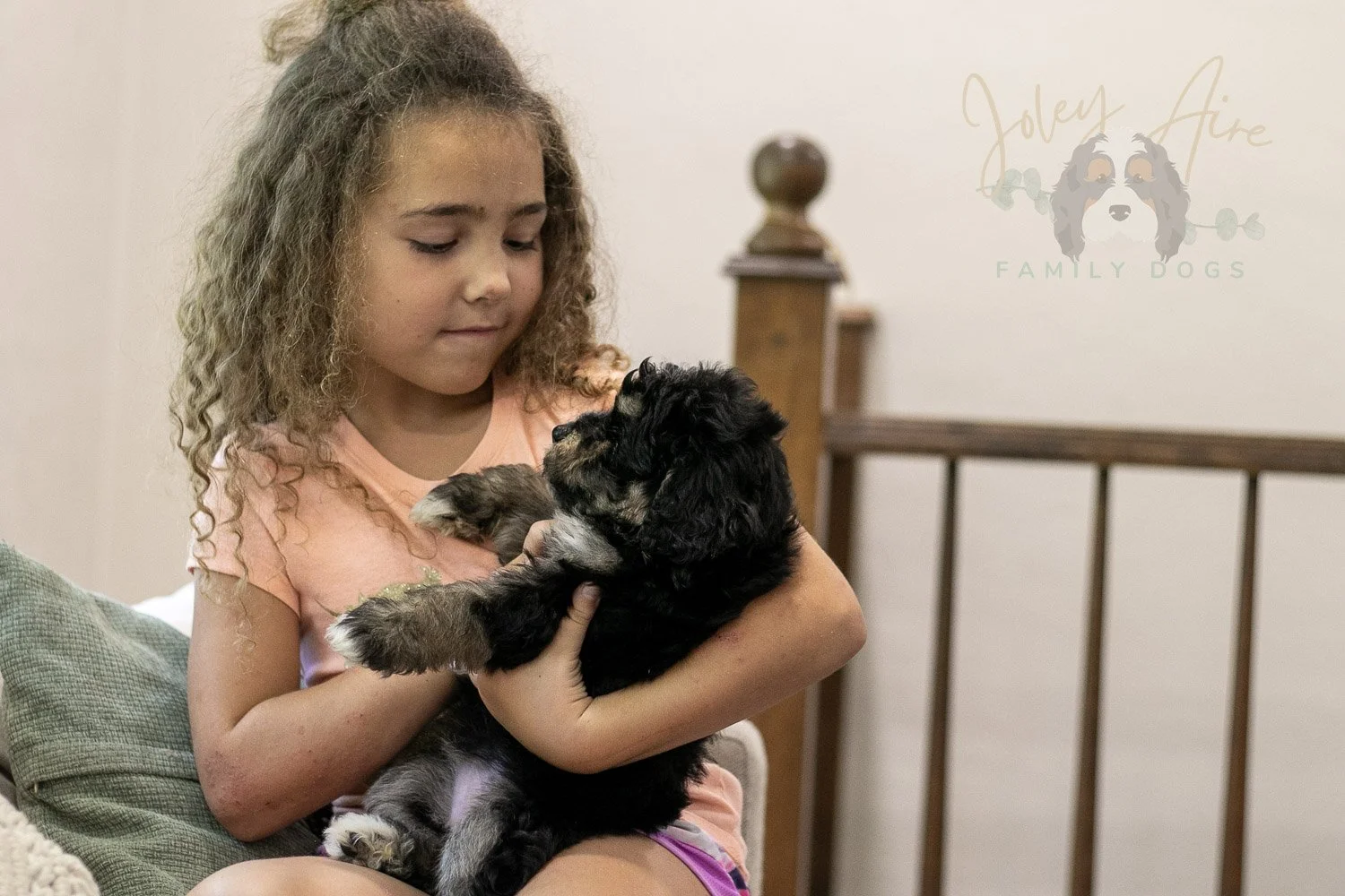 Georgia Bernedoodle Puppy-430.jpg
