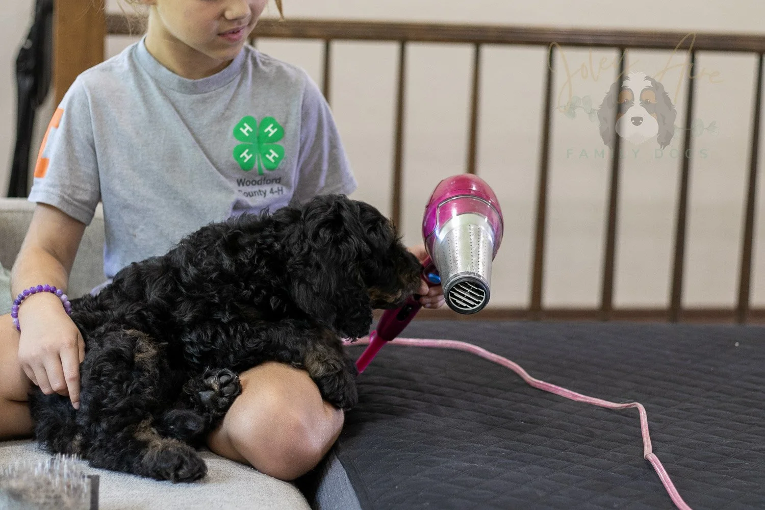 Bryce Bernedoodle Puppy-405.jpg