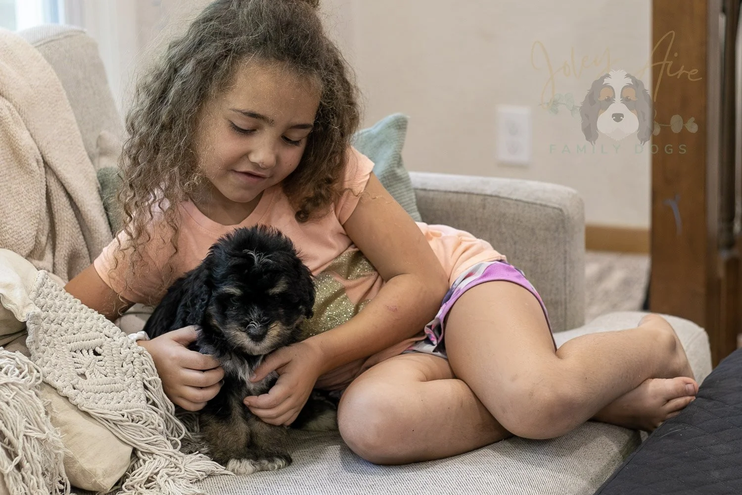 Georgia Bernedoodle Puppy-427.jpg