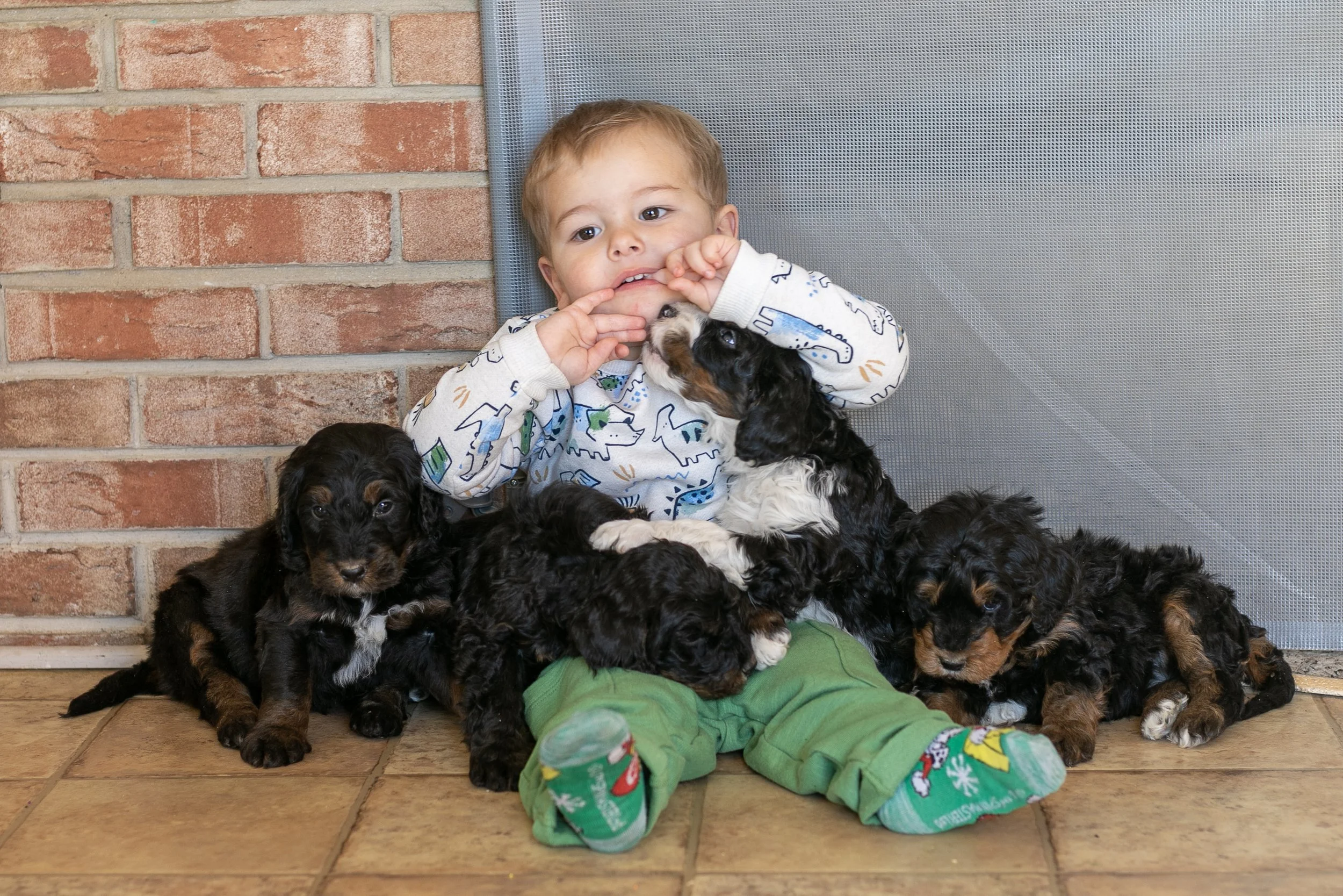 Whole Litter Disney Princess Litter-06.jpg