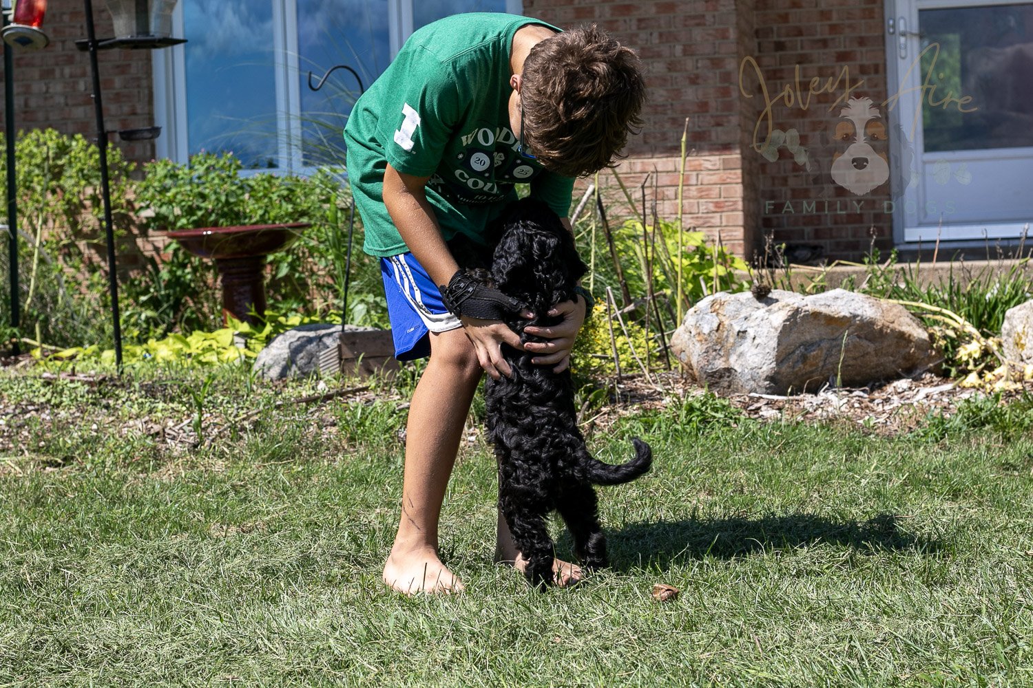 Denali Bernedoodle Puppy-524.jpg