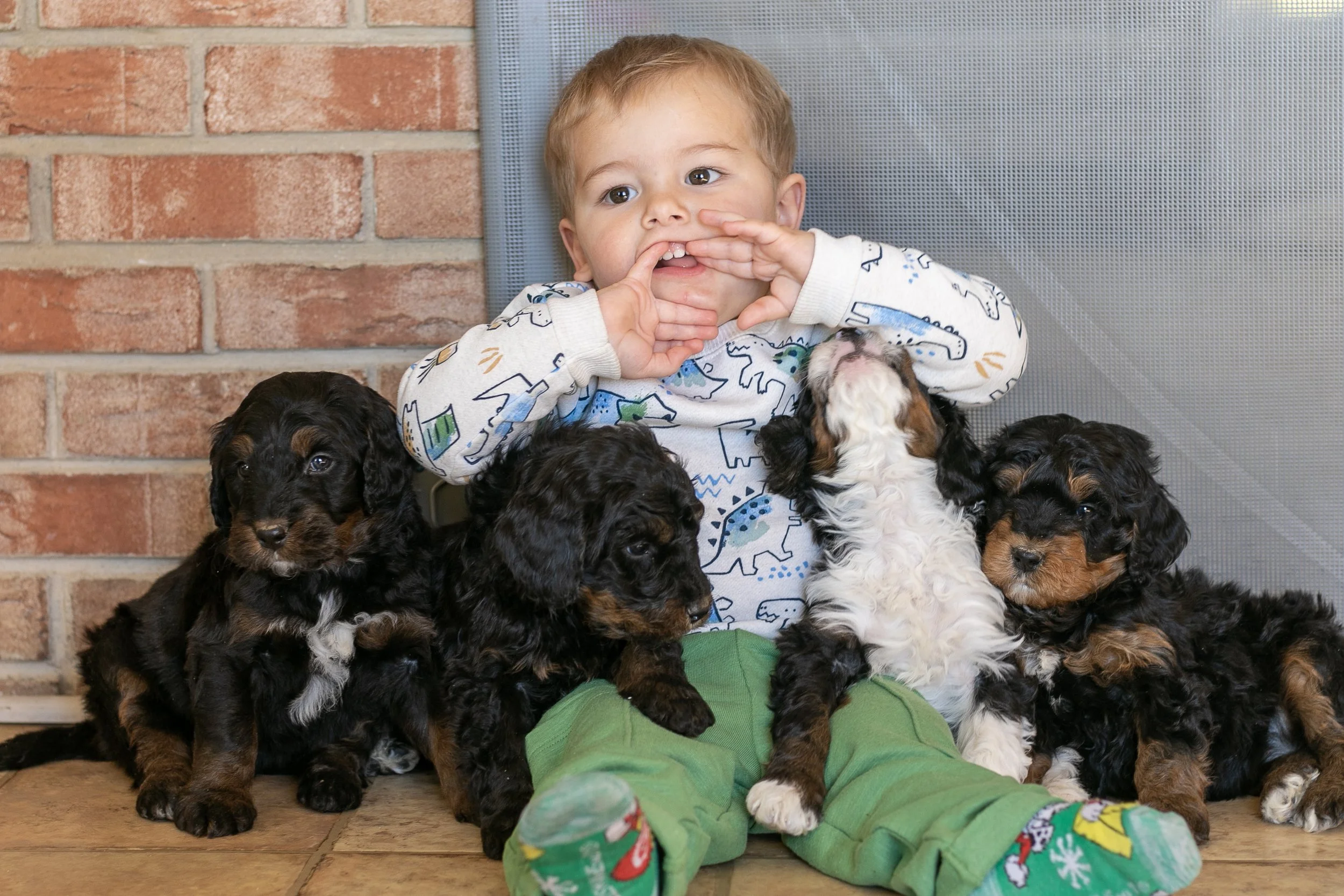 Whole Litter Disney Princess Litter-05.jpg