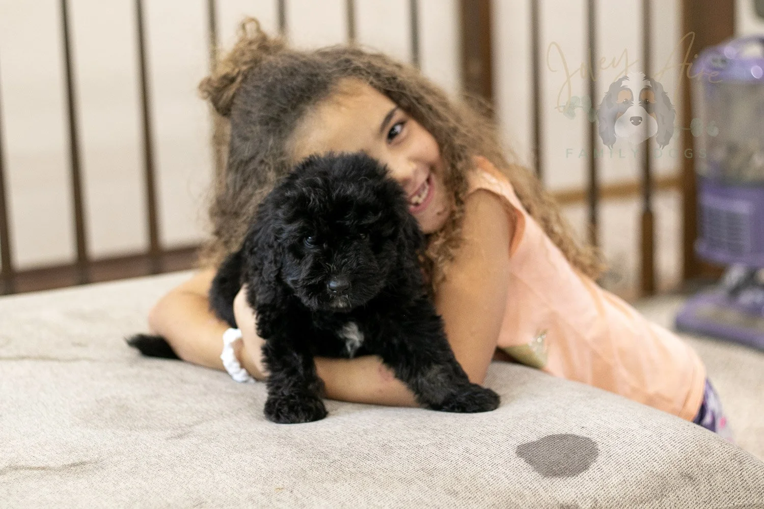 Claude Bernedoodle Puppy-257.jpg