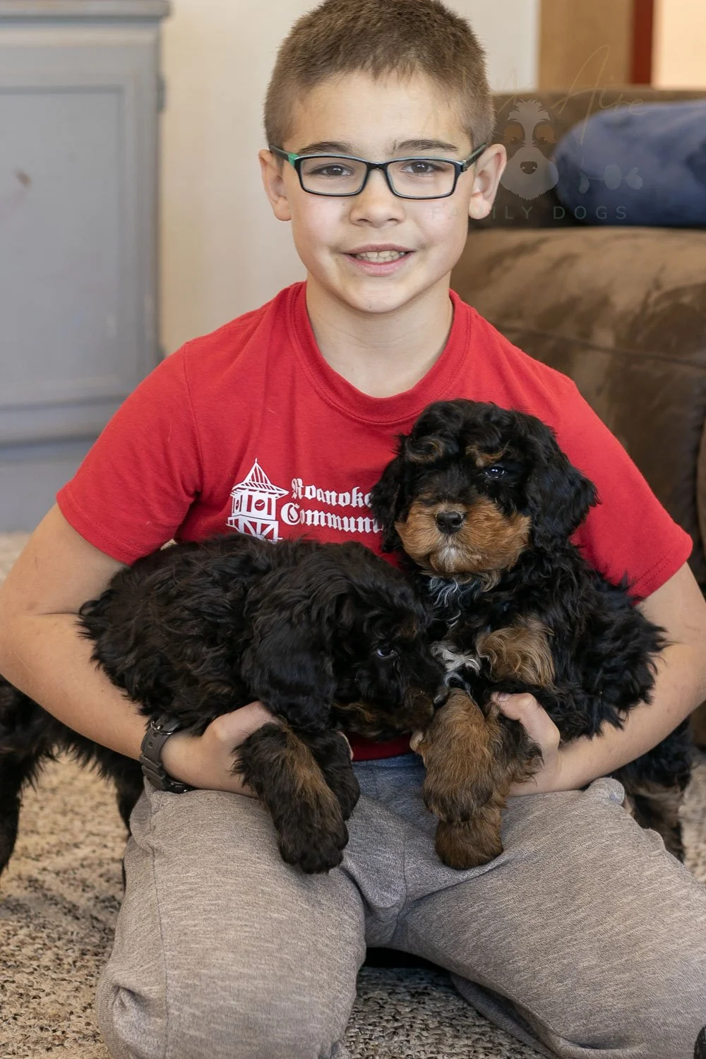 Aurora & Cinderella Bernedoodle Puppy-03.jpg