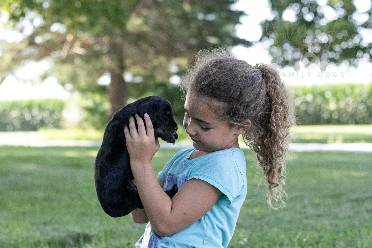 Zion Bernedoodle Puppy-344.jpg